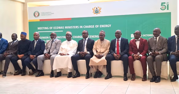 ECOWAS ministers consider common rules for battery energy storage