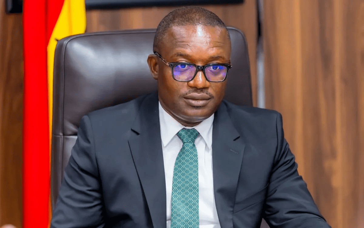 Financial discipline critical to unlocking power sector investments — Energy Minister