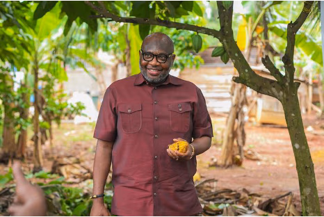 Is COCOBOD all set for market return?