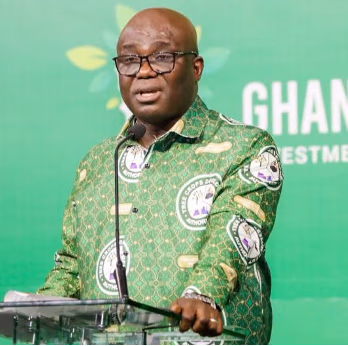 Africa must strengthen partnerships to capture more cashew value – Agric Minister