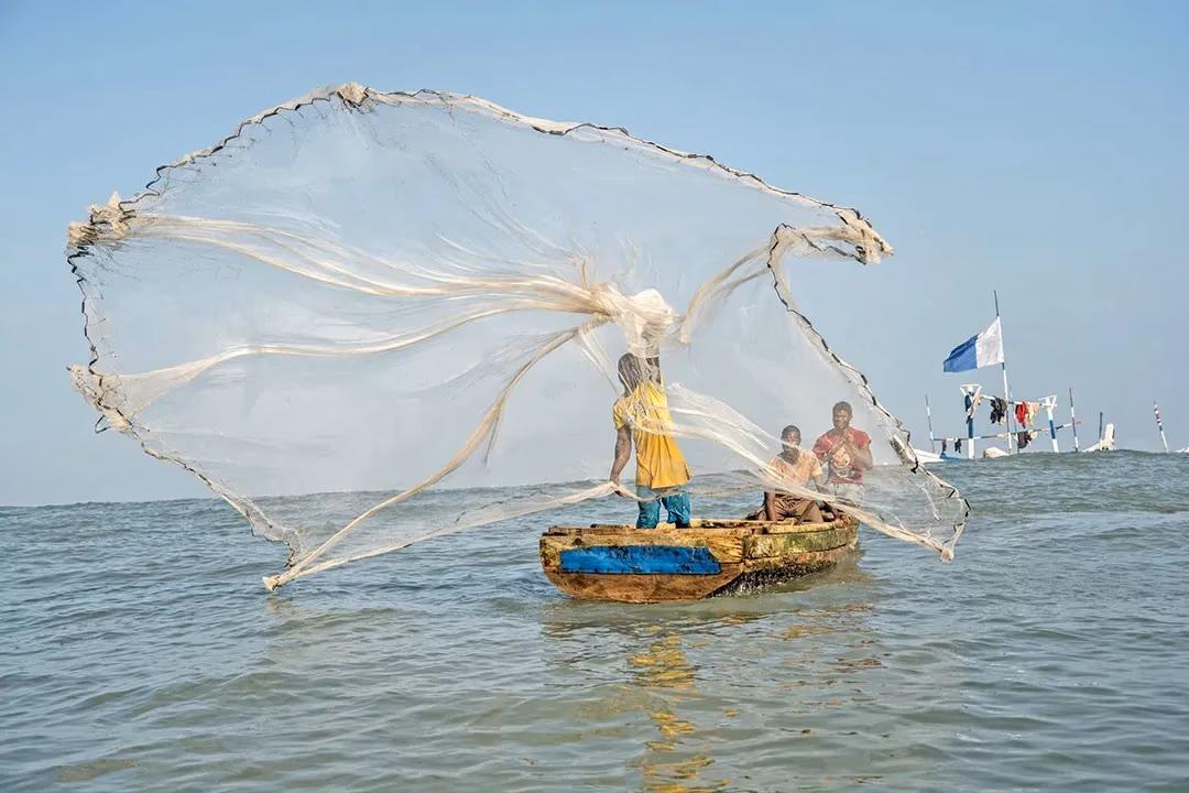 Revoke offshore gold exploration licences - artisanal fishers demand